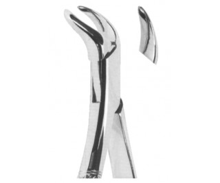 Extracting Forceps American pattern